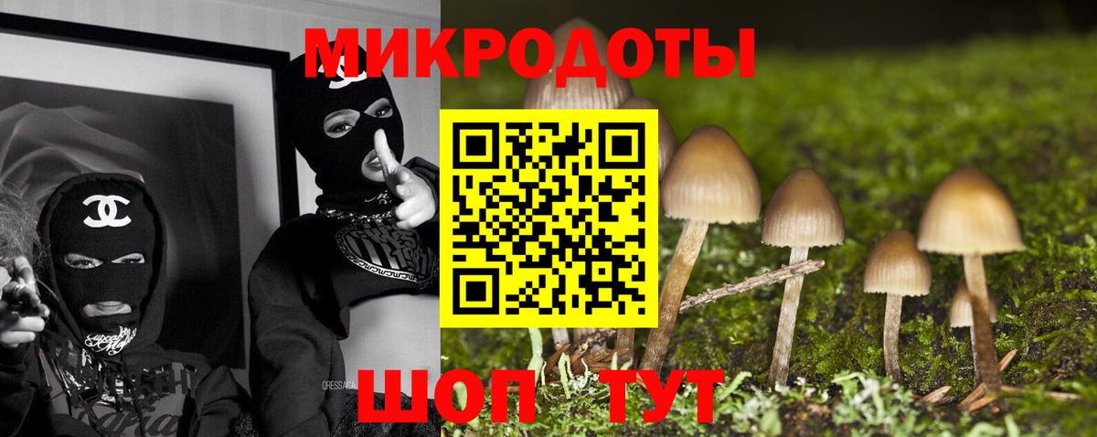 Псилоцибиновые грибы мухоморы Вологда